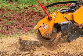 Best Tree Preservation Services  in Mino Tassajara, CA